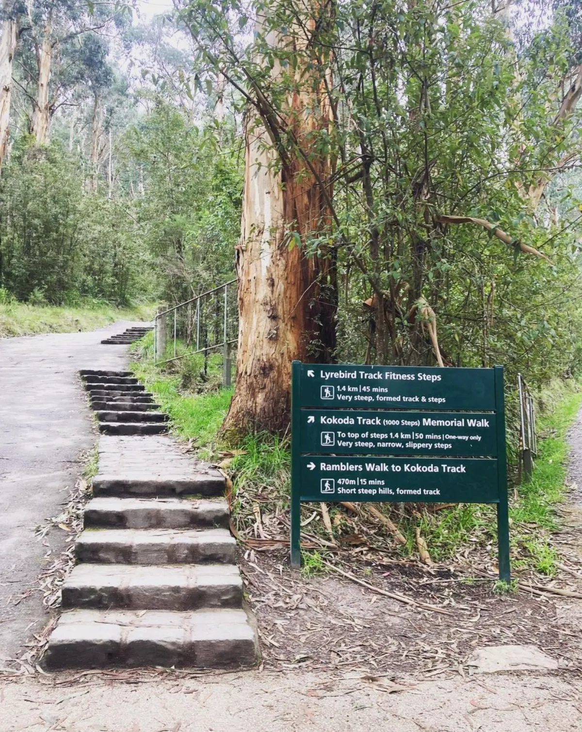 History Kokoda Track Memorial Walk