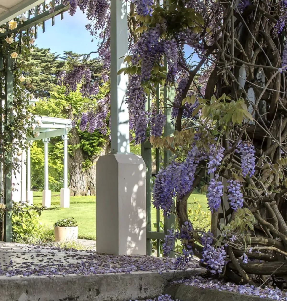 History of the Gardens