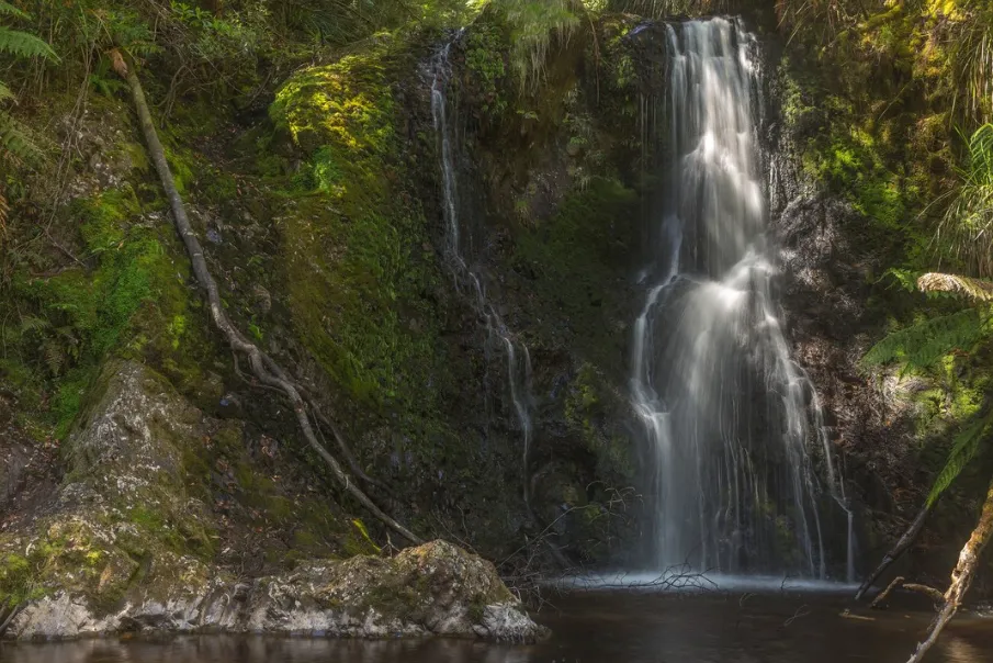 5. Hogarth Falls Nature Stroll