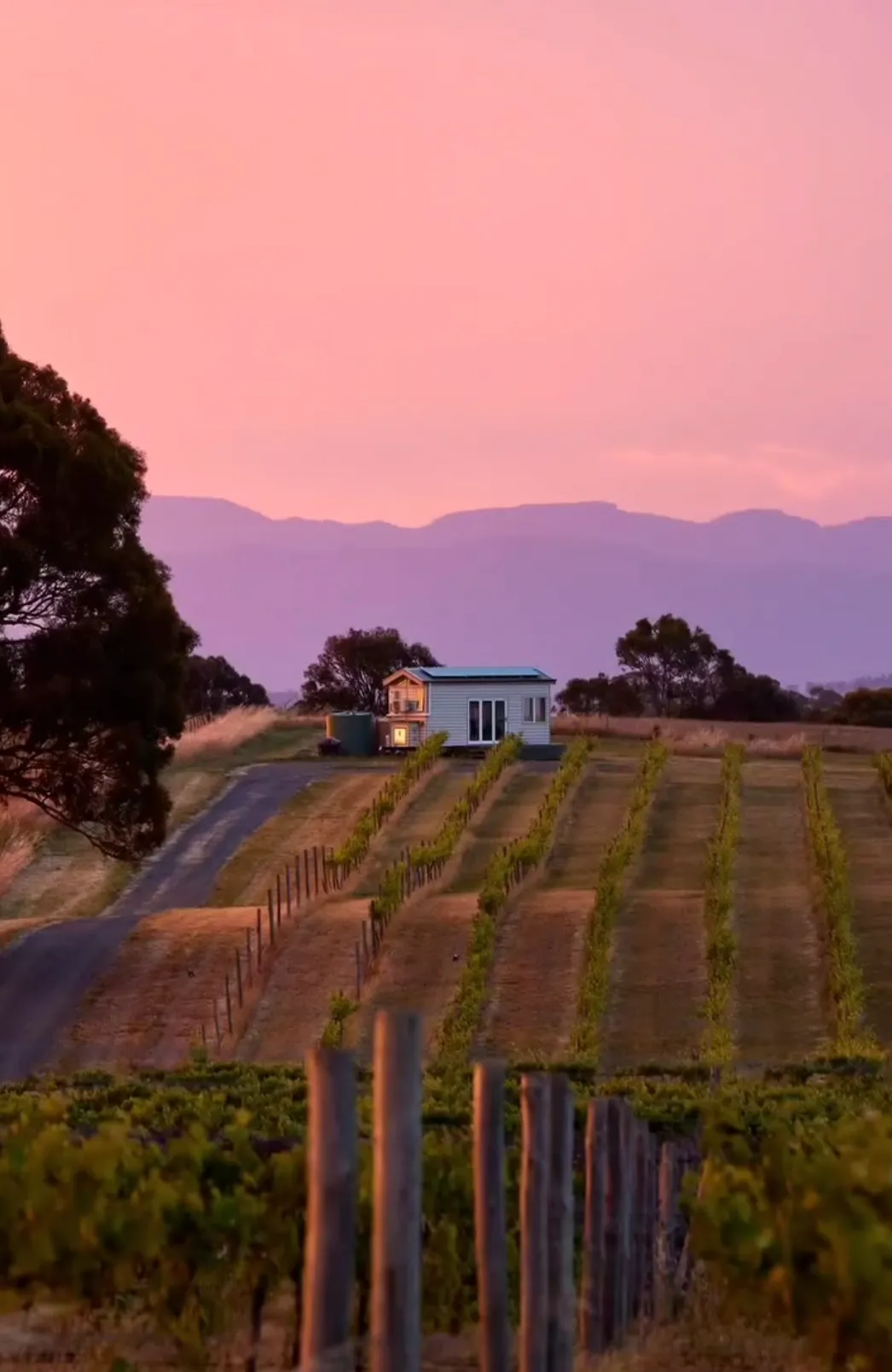 Hounds Run Vineyard Tiny House