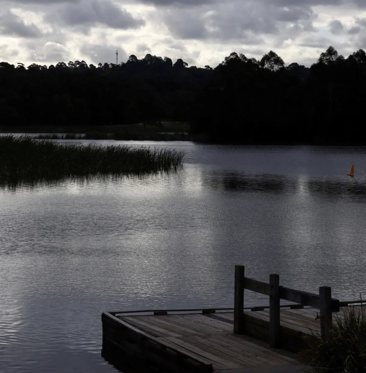 How to Get to Lillydale Lake