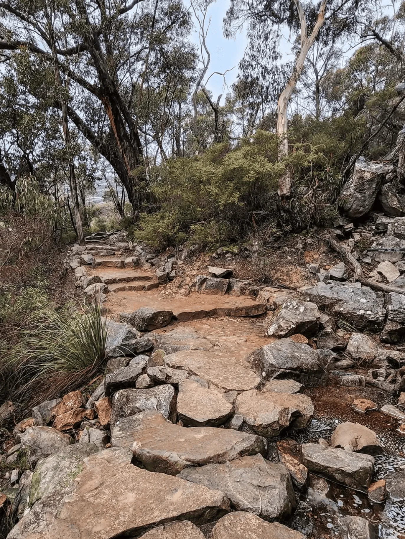 How to Get to the Canyon