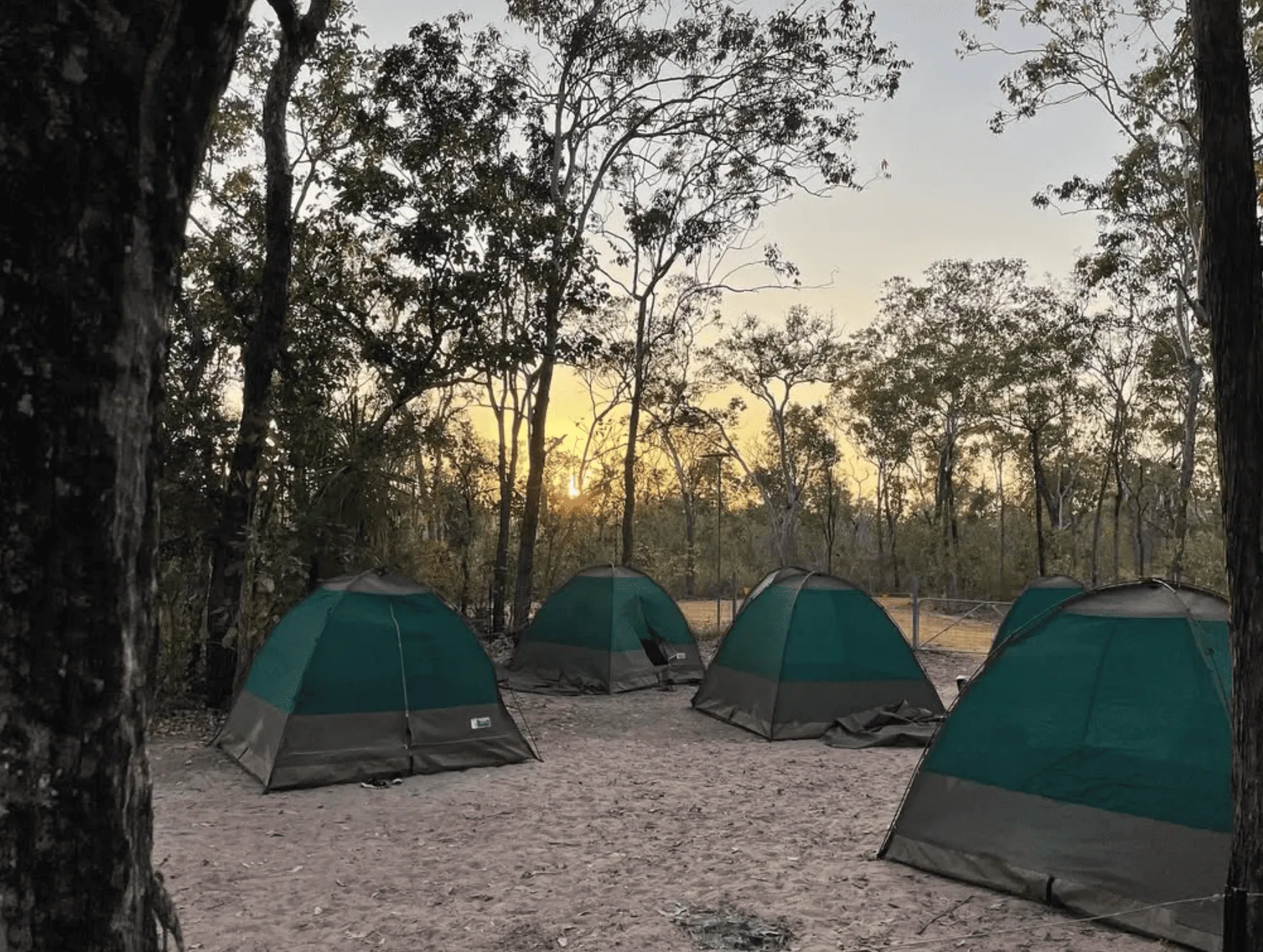 Hunting Techniques and Community Gatherings