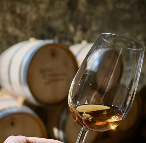It is a recognised wine region