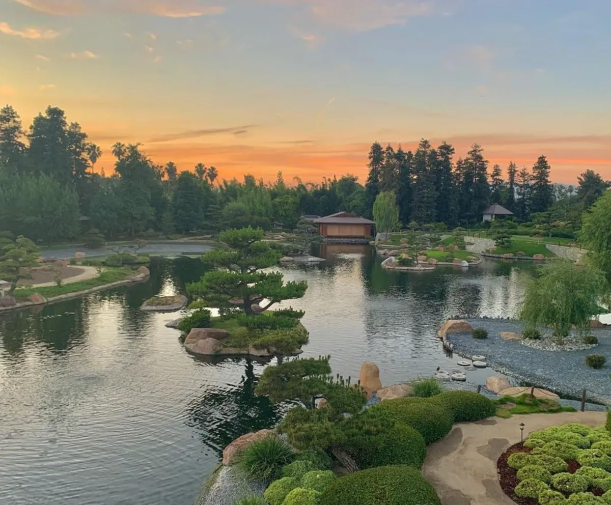 Japanese Water Garden