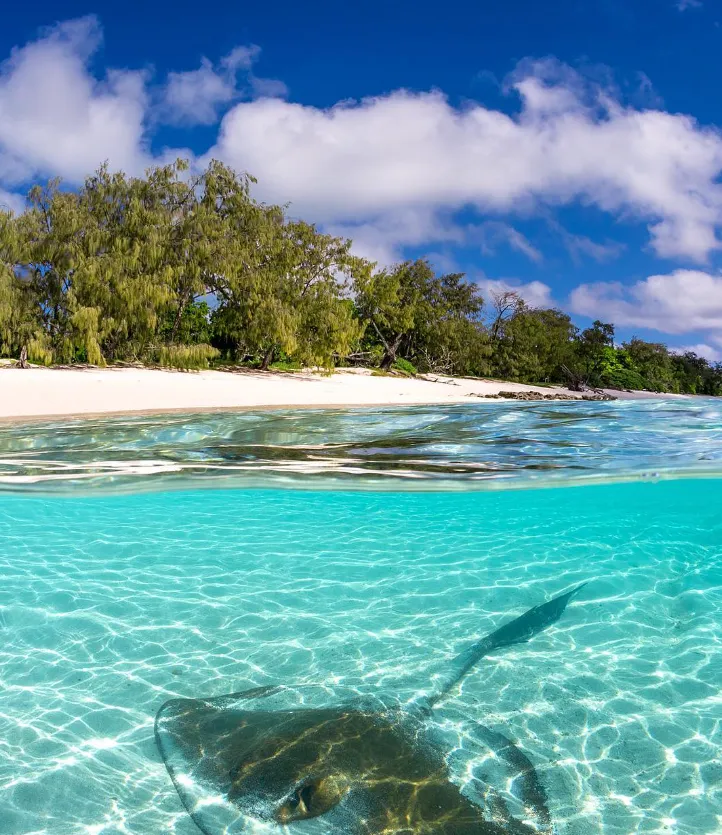 Jervis Bay Exploration Guide