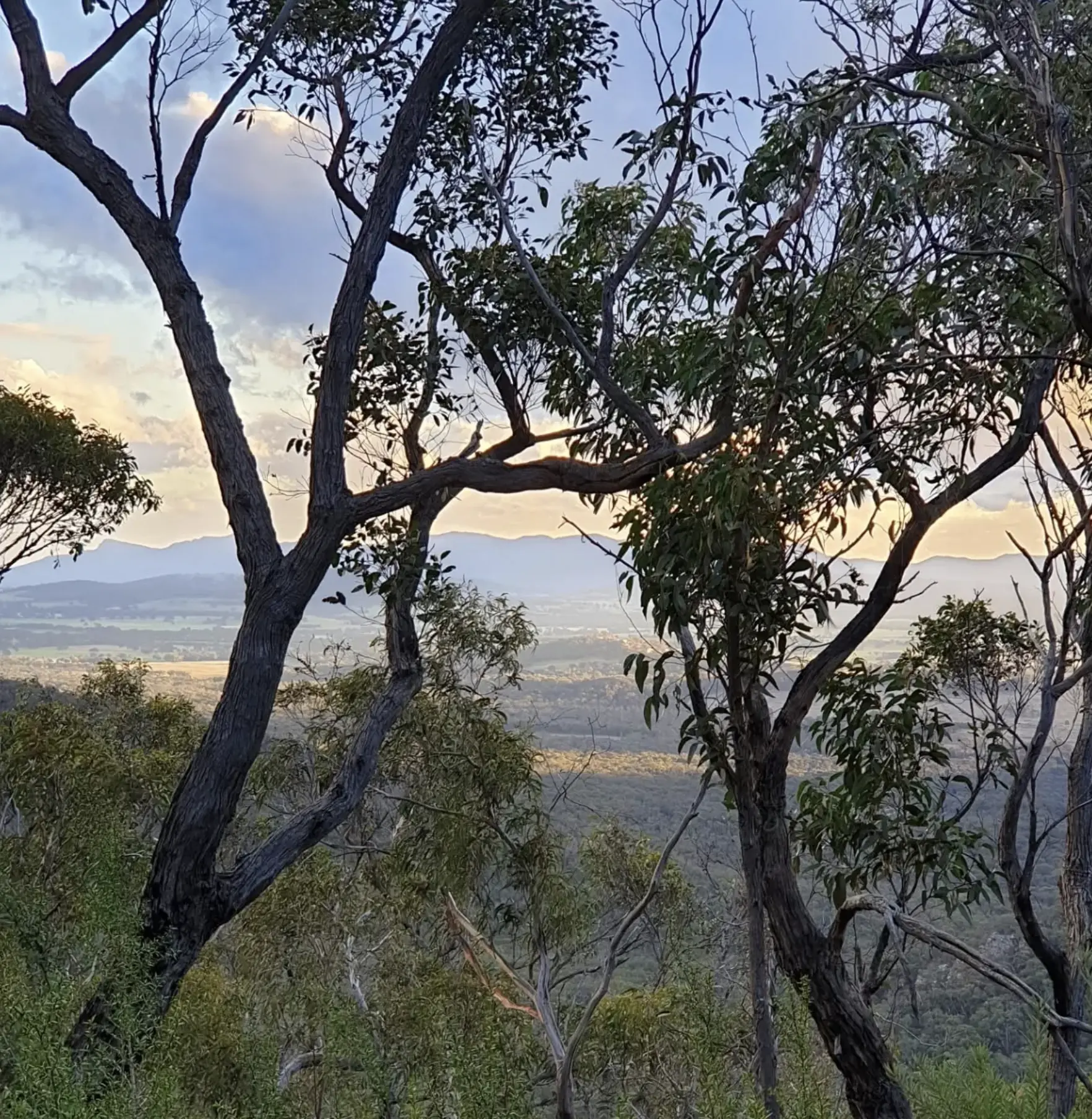 Jimmy Creek Campground