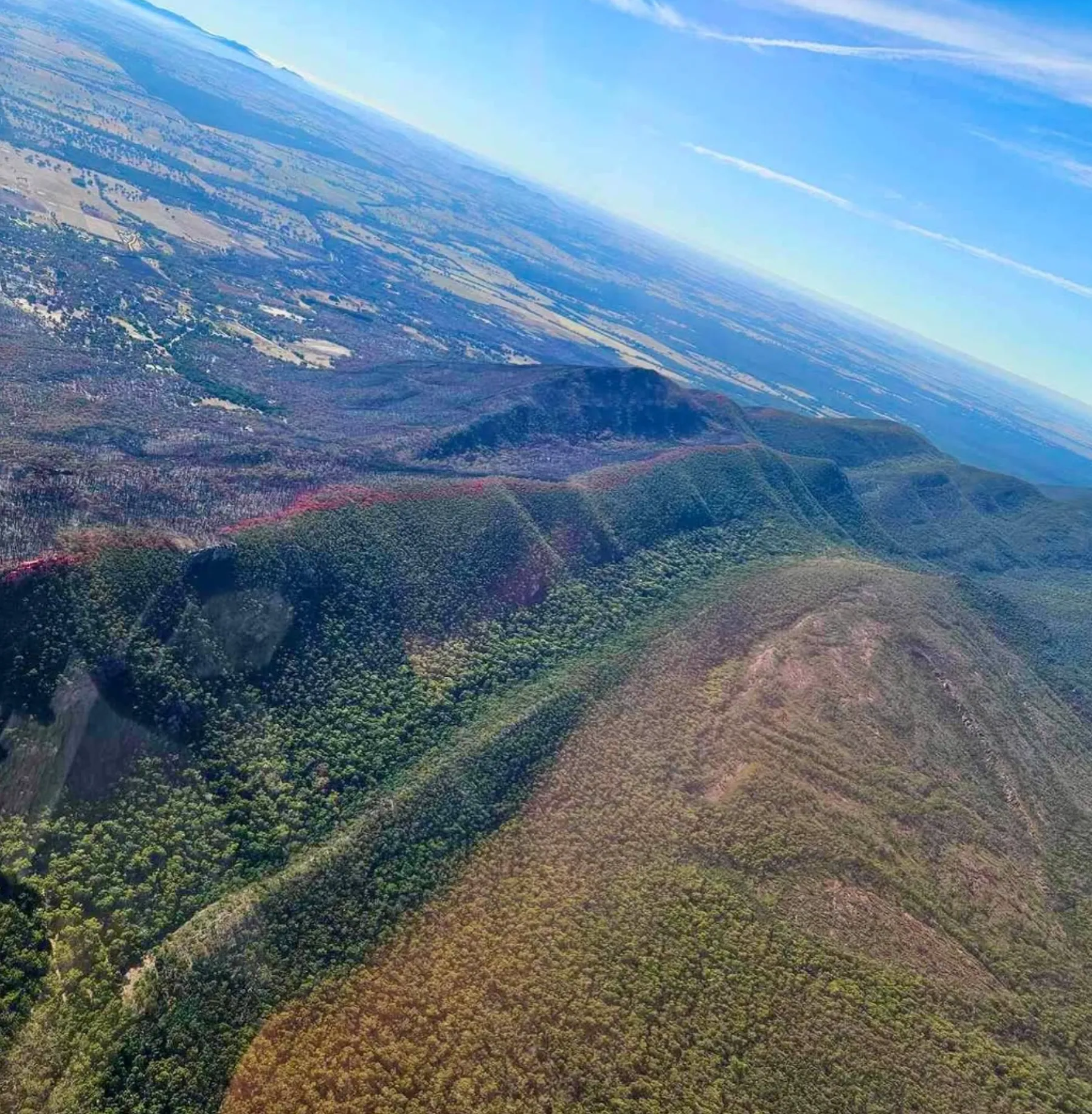 Joy and Scenic Helicopter Flights