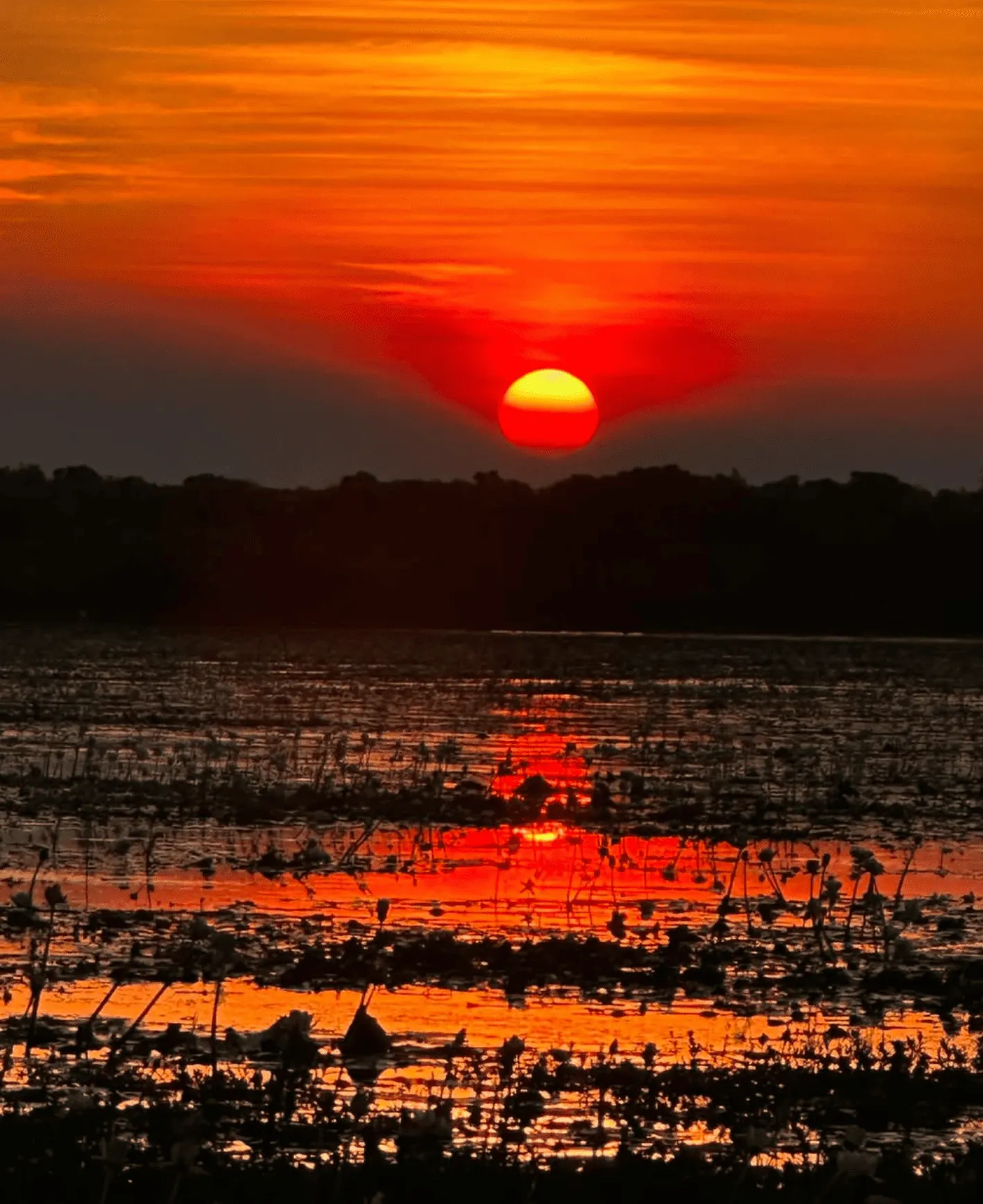 Kakadu National Park’s South Alligator