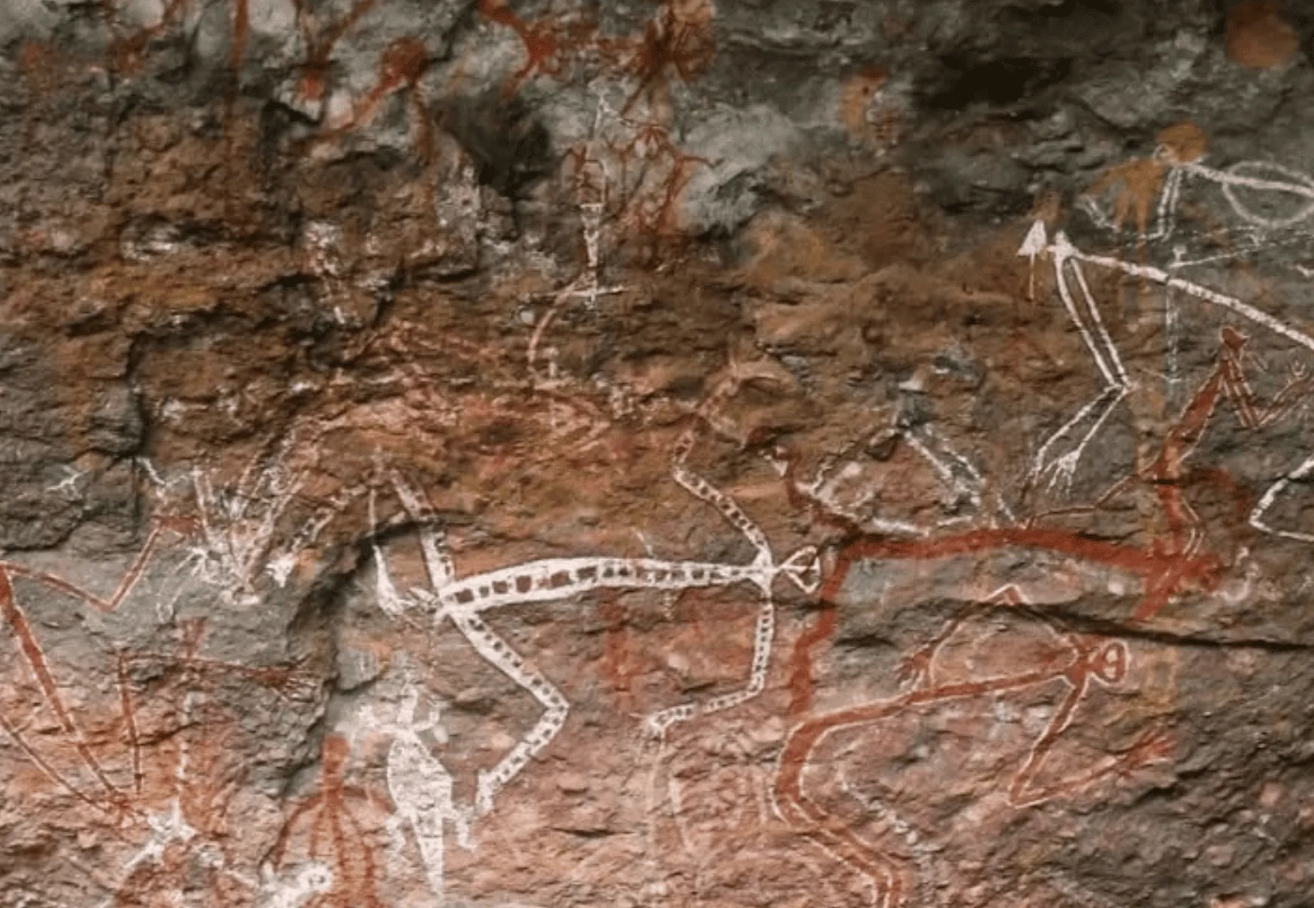 Kakadu Rock Art Tour