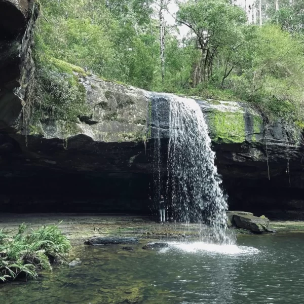 Kalimna Falls​
