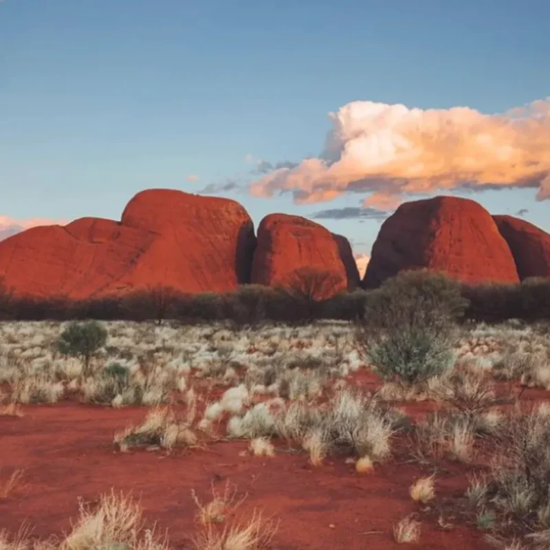 Kata Tjuta (The Olgas)