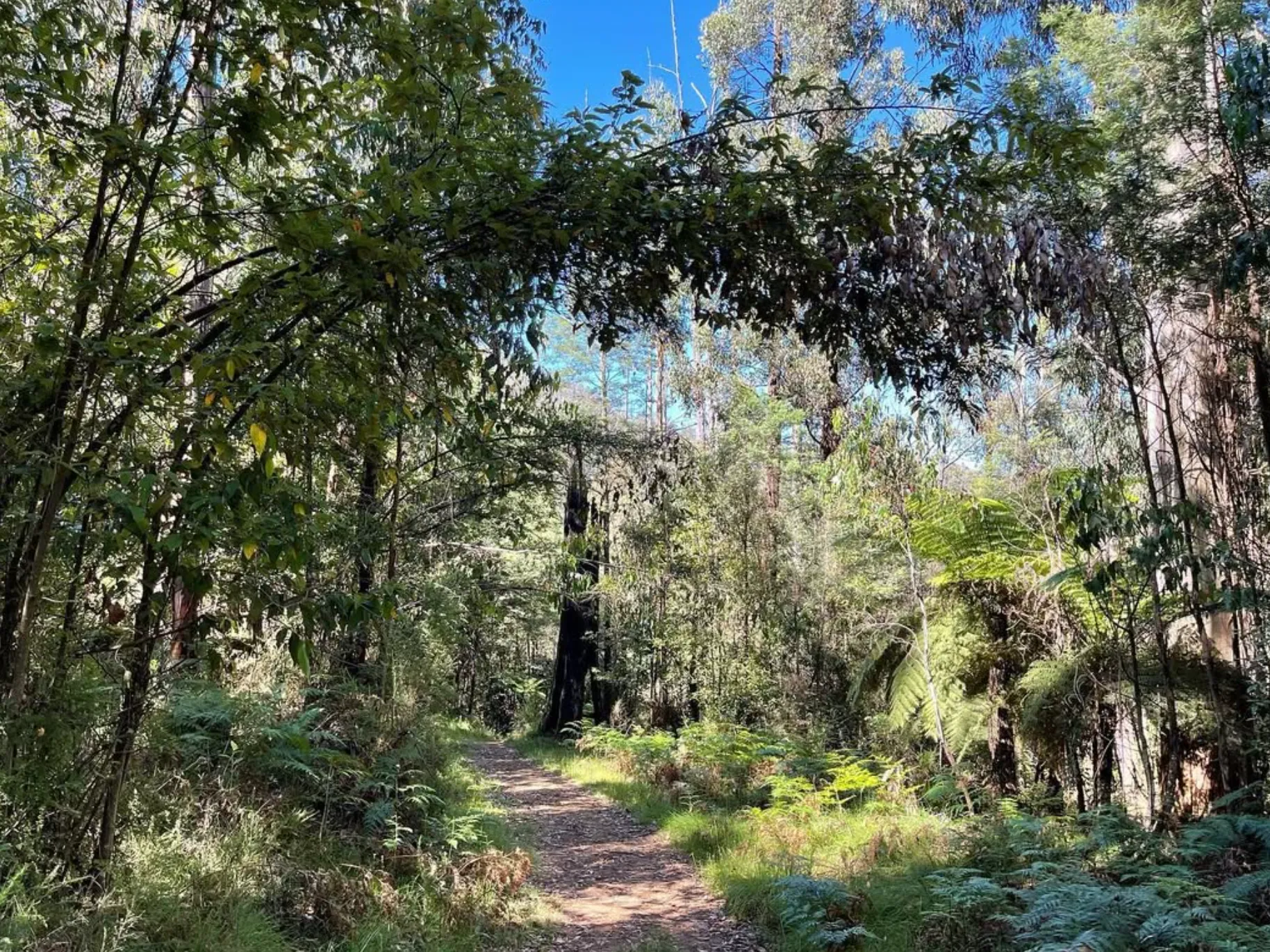 Keppel Lookout Trail