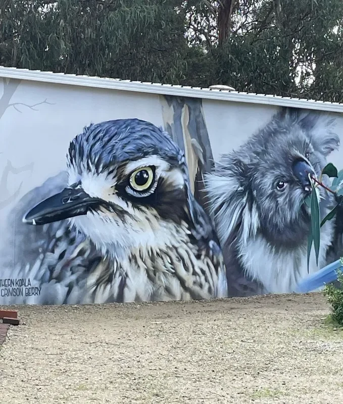 Koala conservation centre