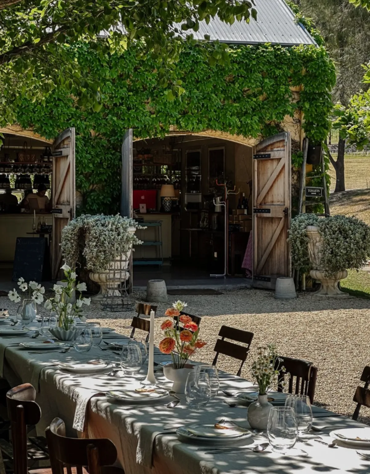 Krinklewood Biodynamic Vineyard