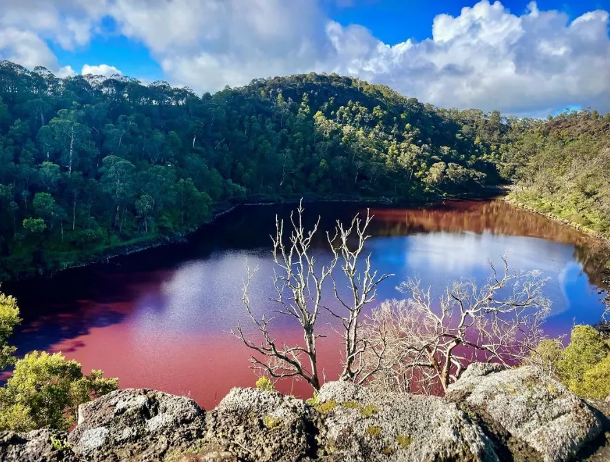 Lake Surprise & Crater Rim Walk