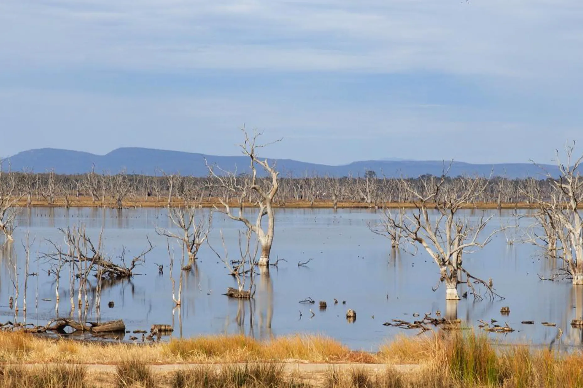 Lake Toolondo