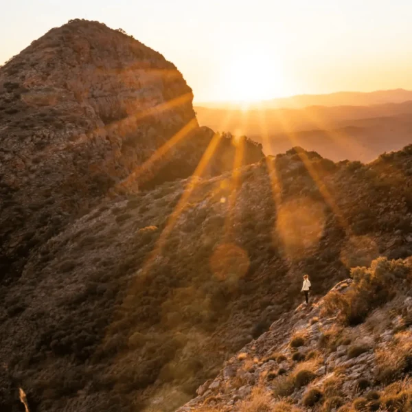 Larapinta 5 Day walking tour