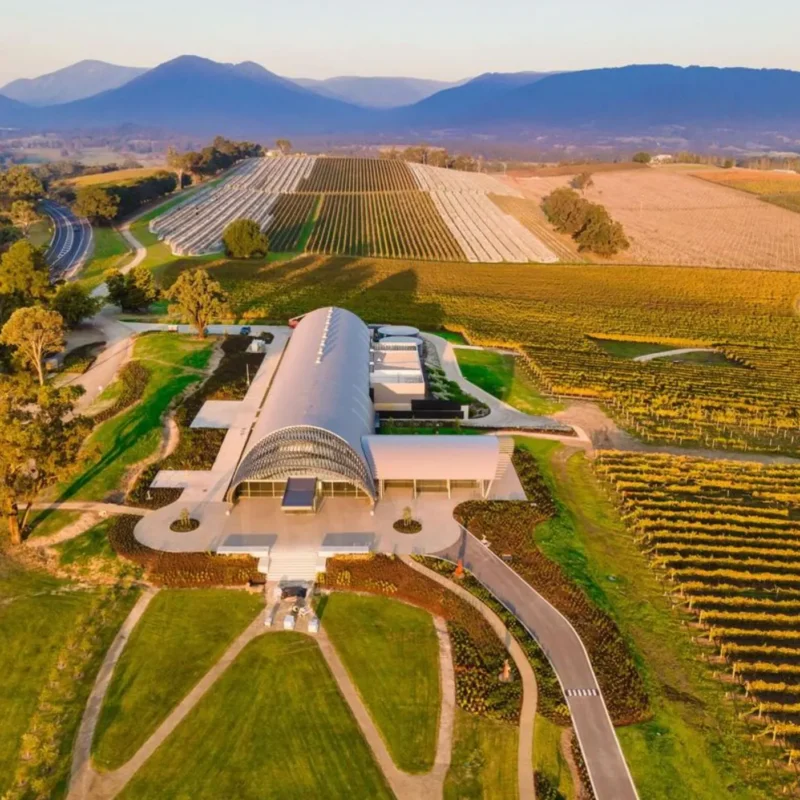 Levantine Hill Estate
