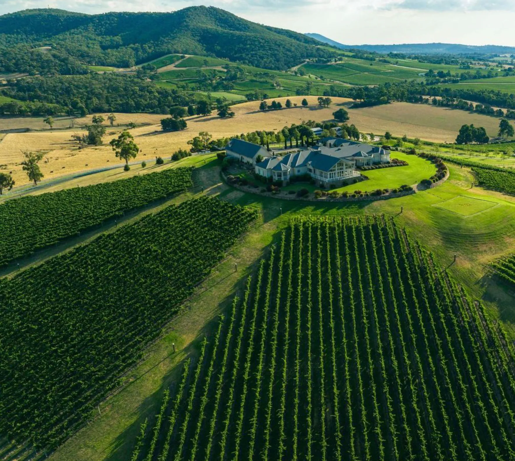 Levantine Hill Estate Hotel