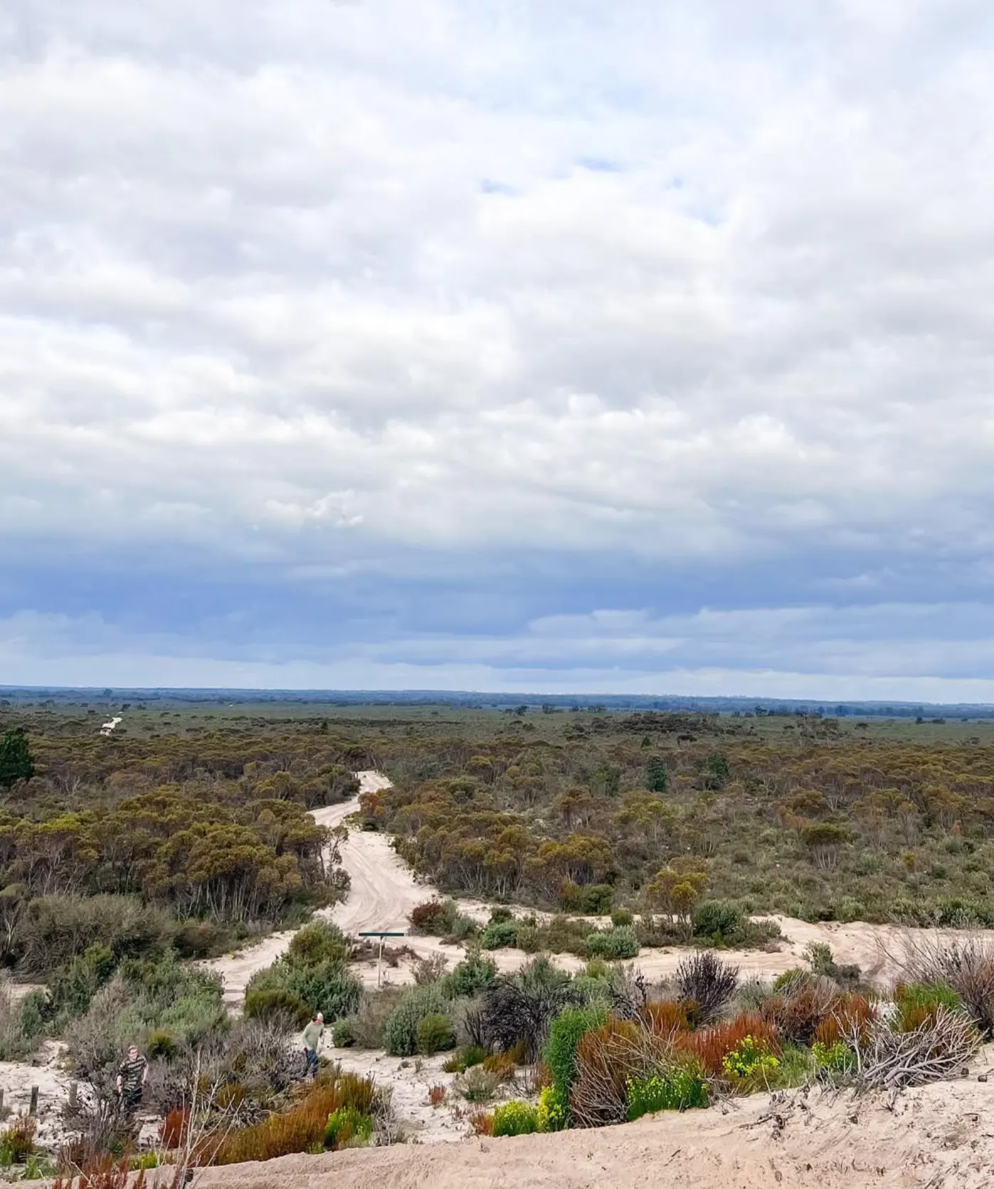 Little Desert National Park has 4WD