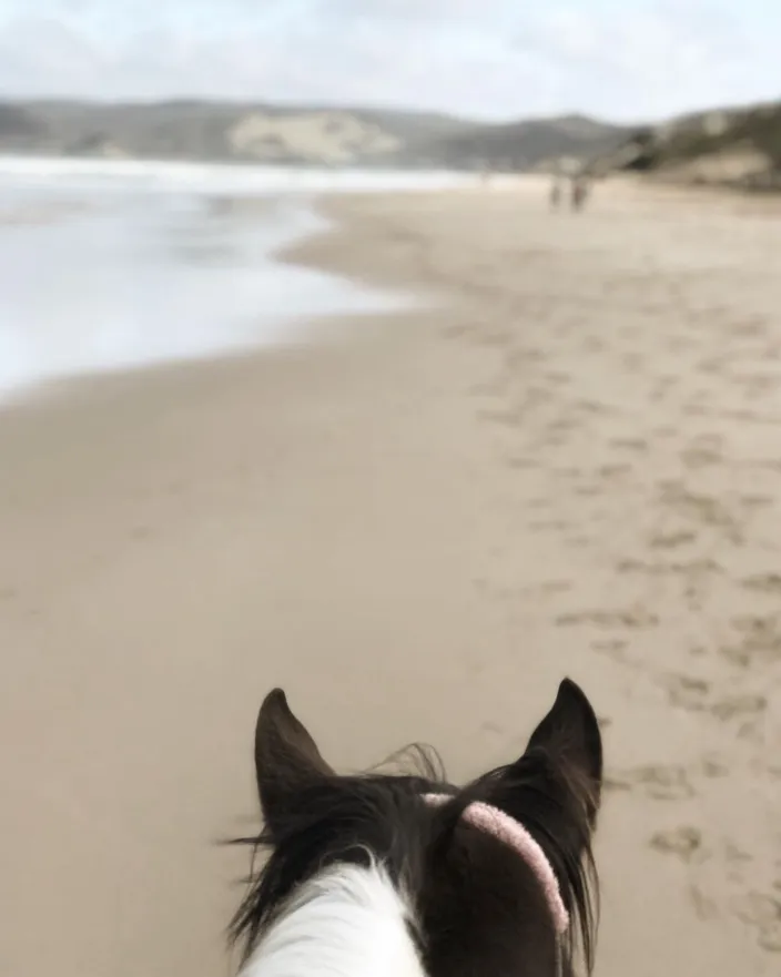 Lorne Pier to Teddy’s Lookout