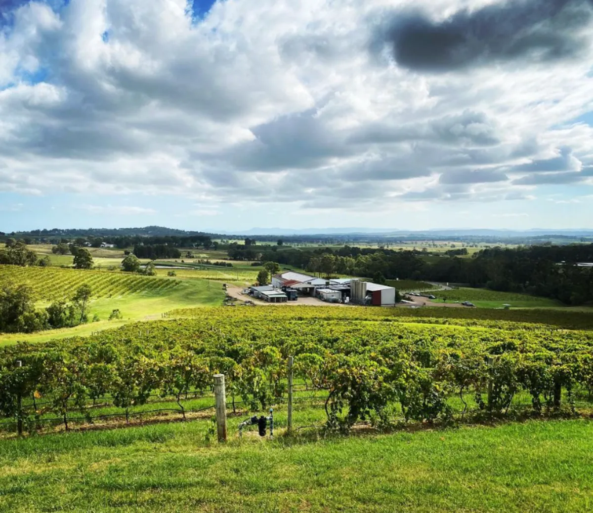 Lovedale and Rosehill​