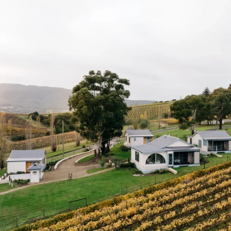 Main Town in the Yarra Valley