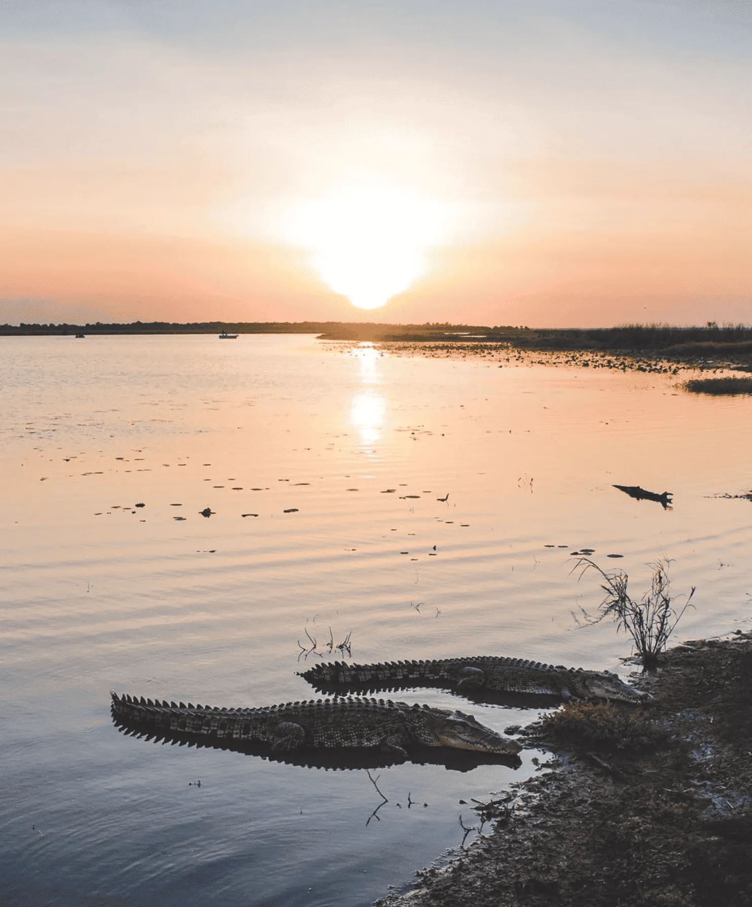 Mary River Wetlands