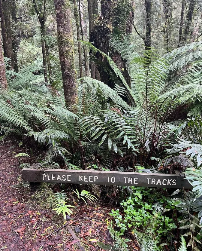 Melba Gully