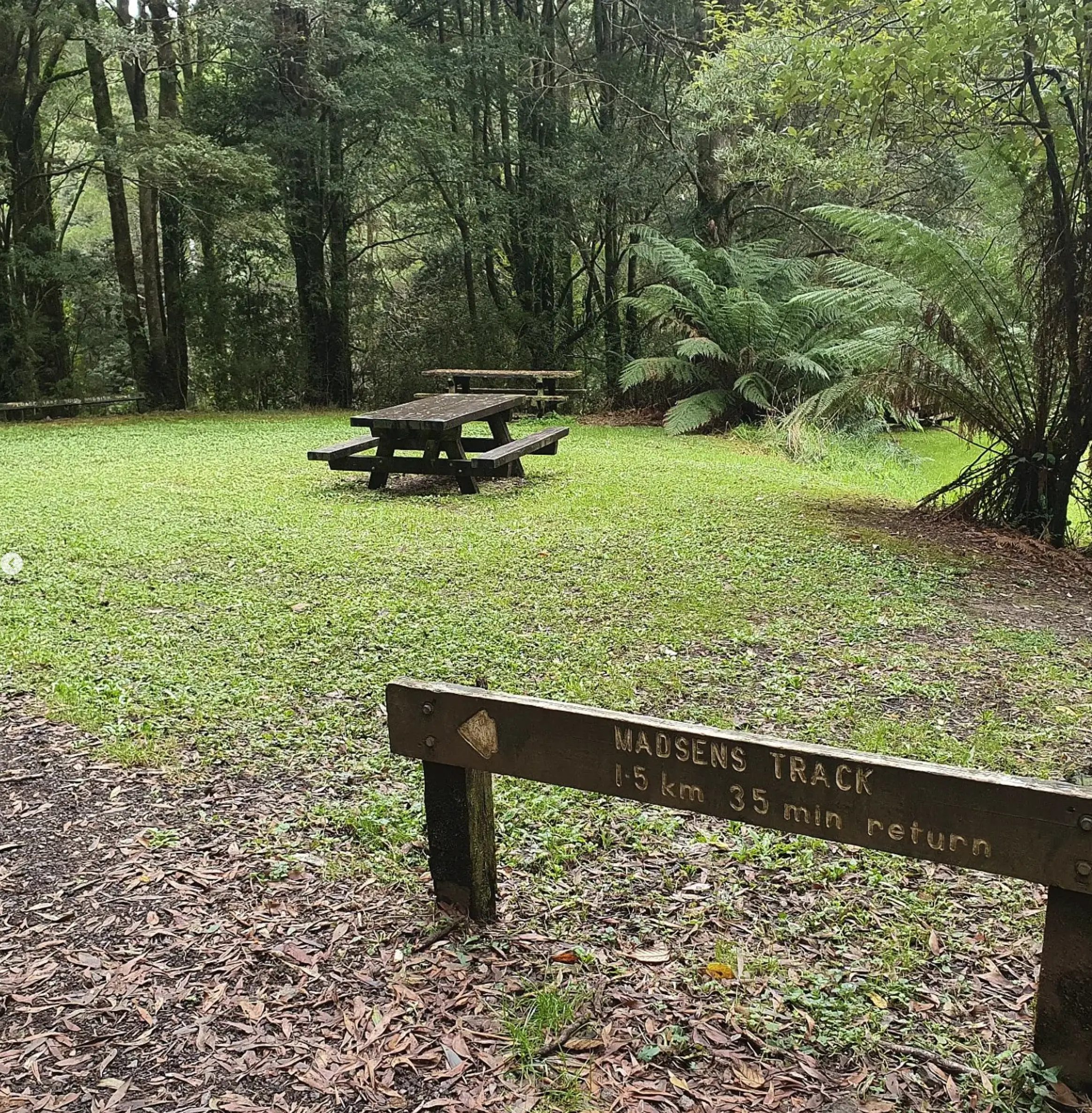 Melba Gully picnic​