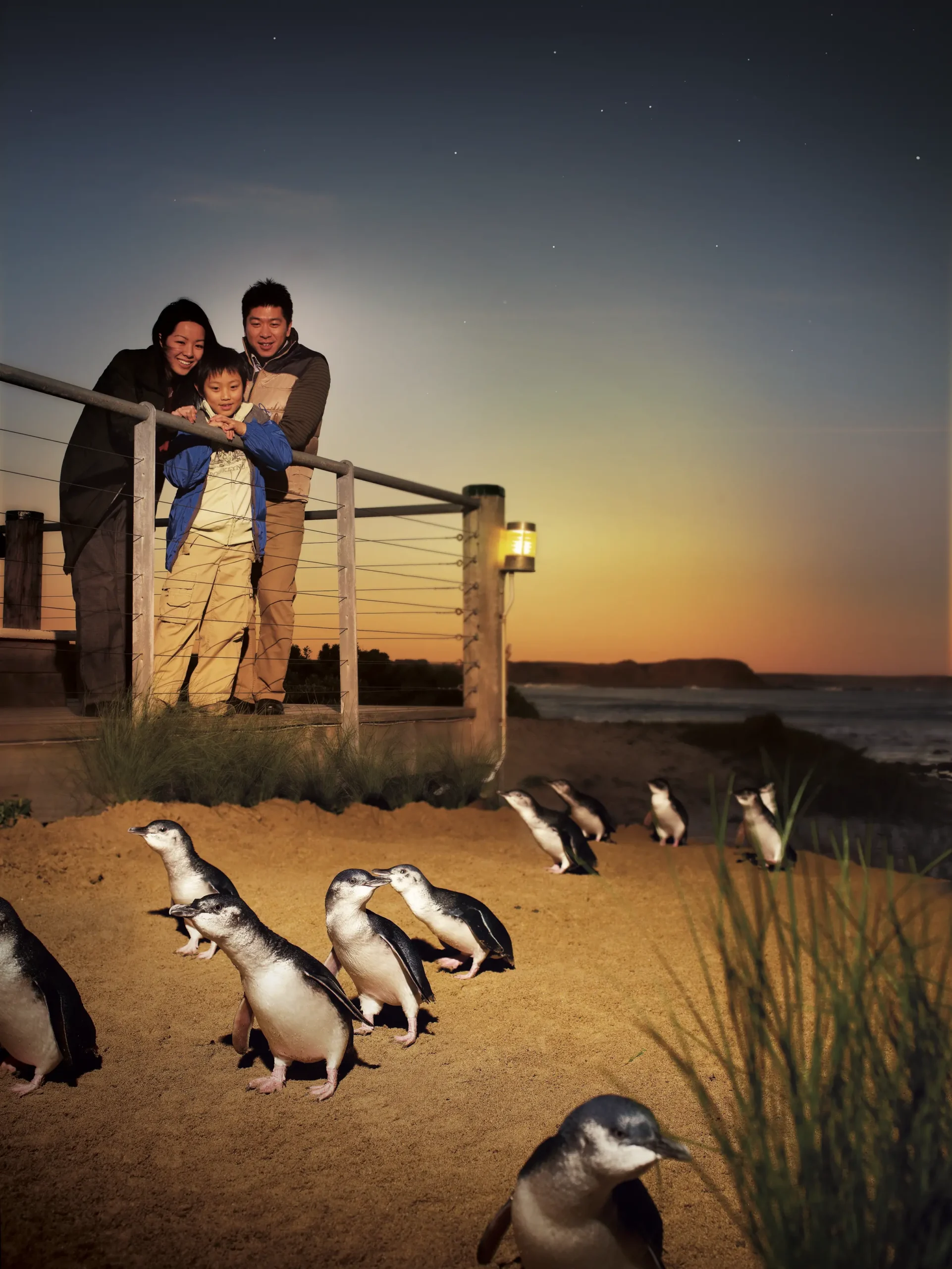 Phillip Island by Wildlife Tours Australia