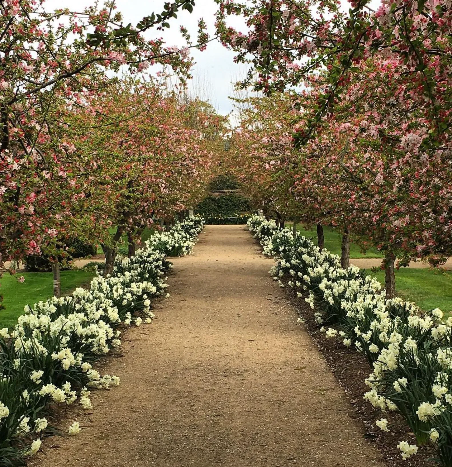 Memorial Parks