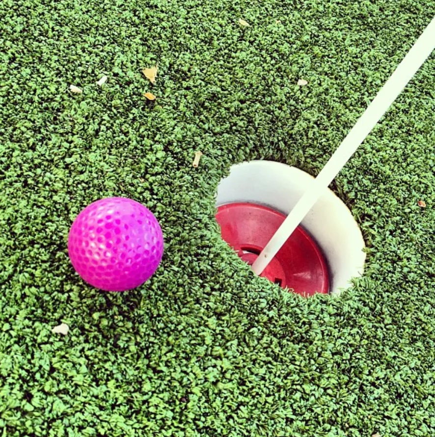Mini Golf and Bumper Boats