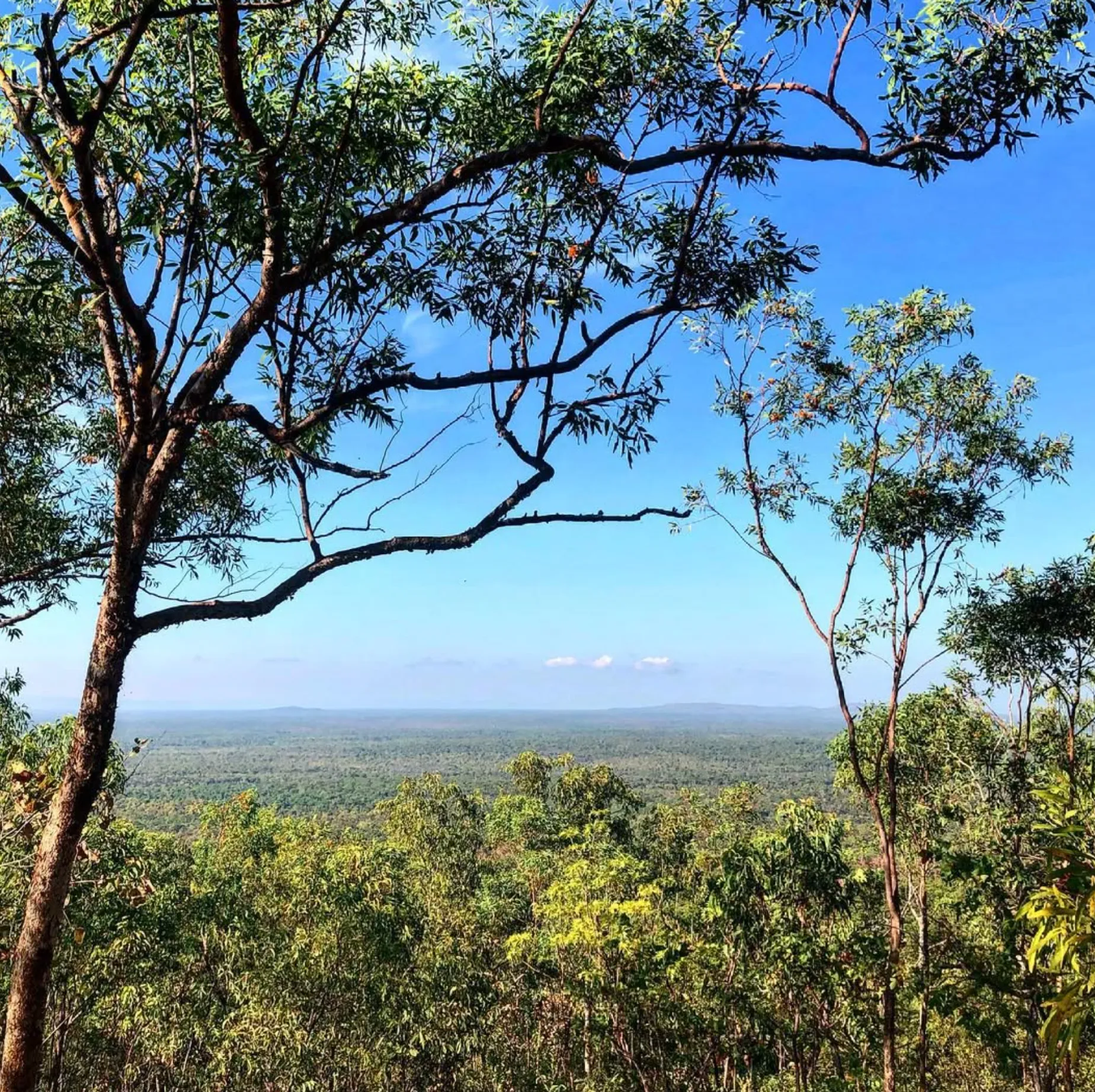 Mirray Lookout Walk