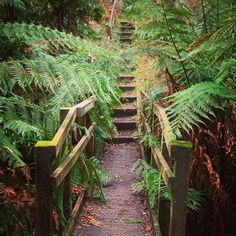 Mount Buangor State Park