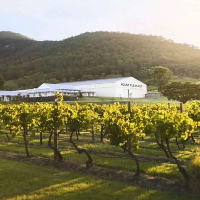 Mount Pleasant is a Hunter Valley legend