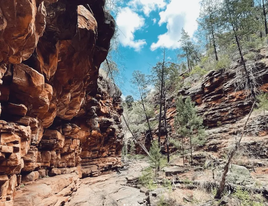 Mount Remarkable National Park​