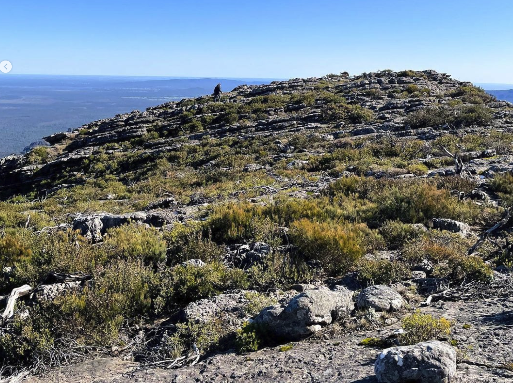Mount Thackeray​