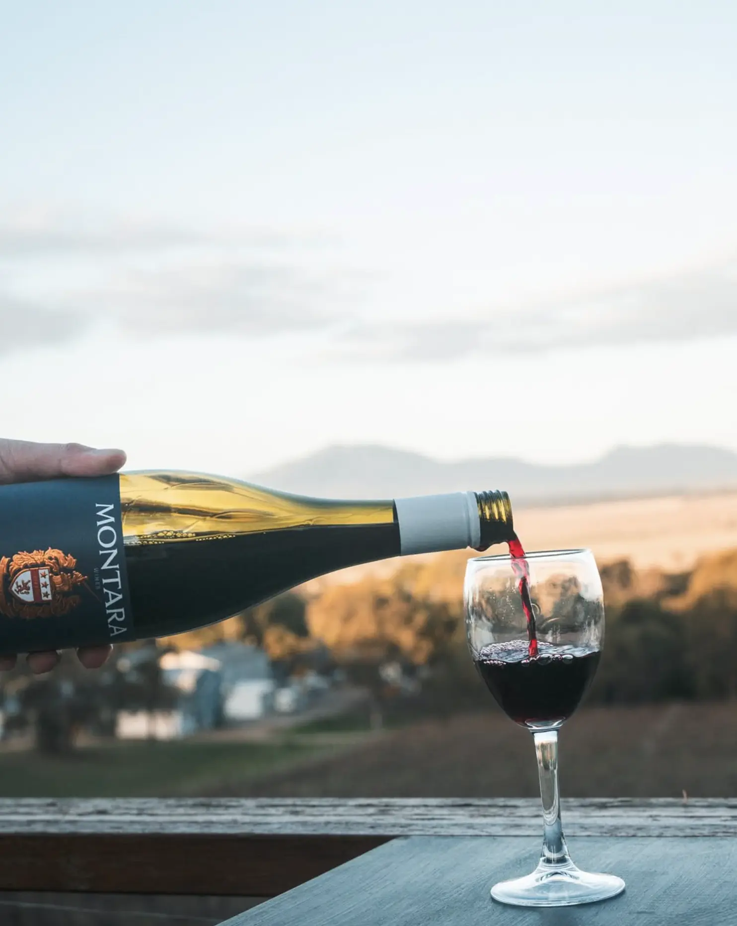 Mountainside Wines
