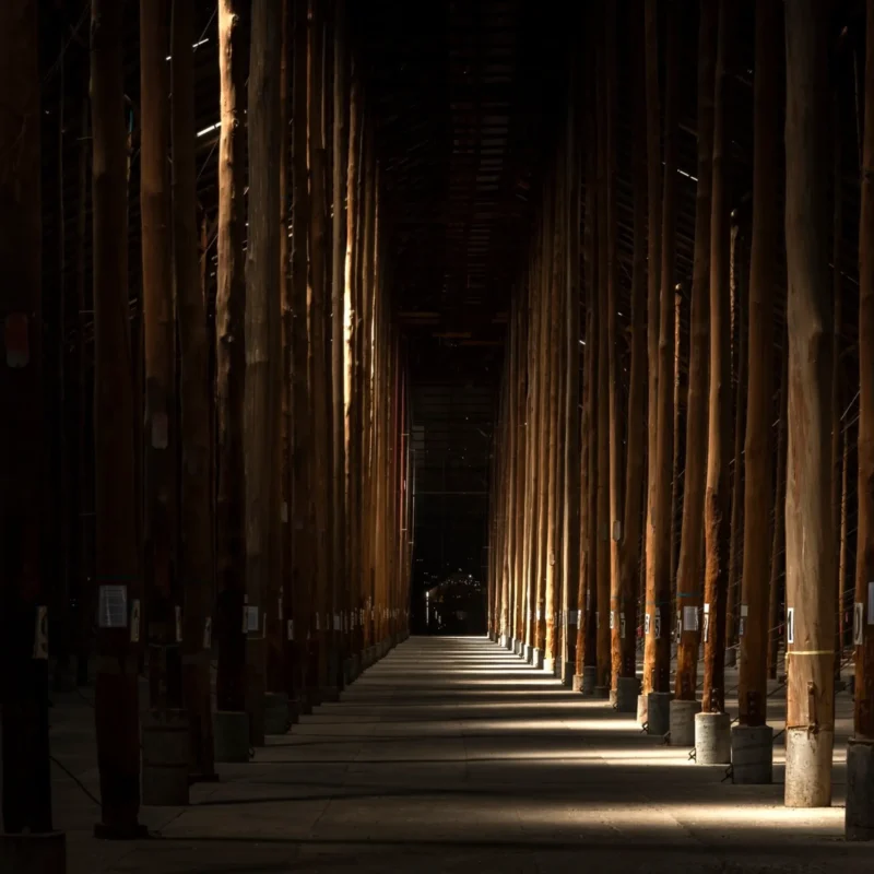 Murtoa Stick Shed in the Grampians