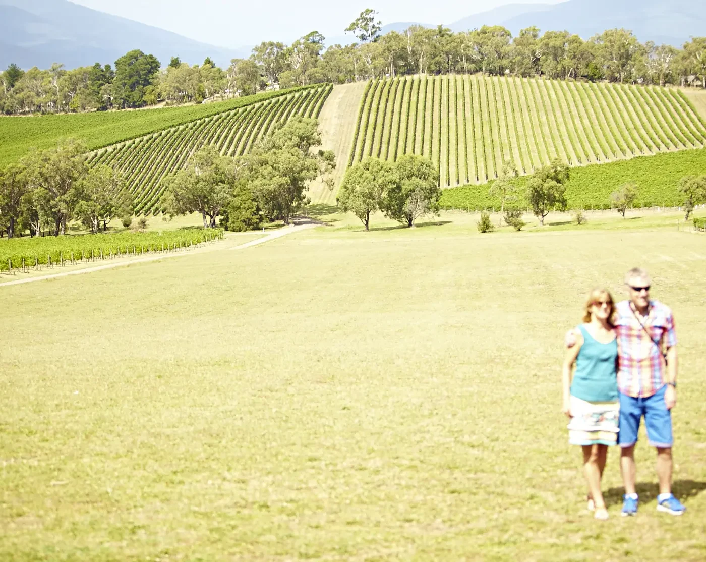 NAVIGATING THROUGH THE YARRA VALLEY
