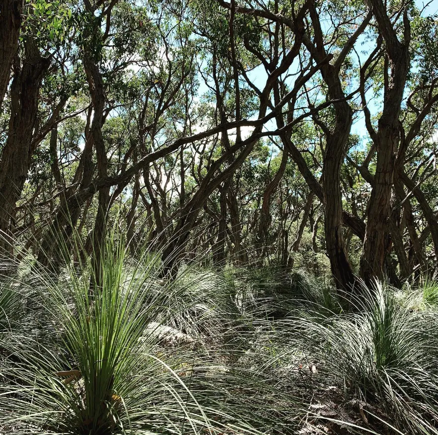 Nature Blanket Bay