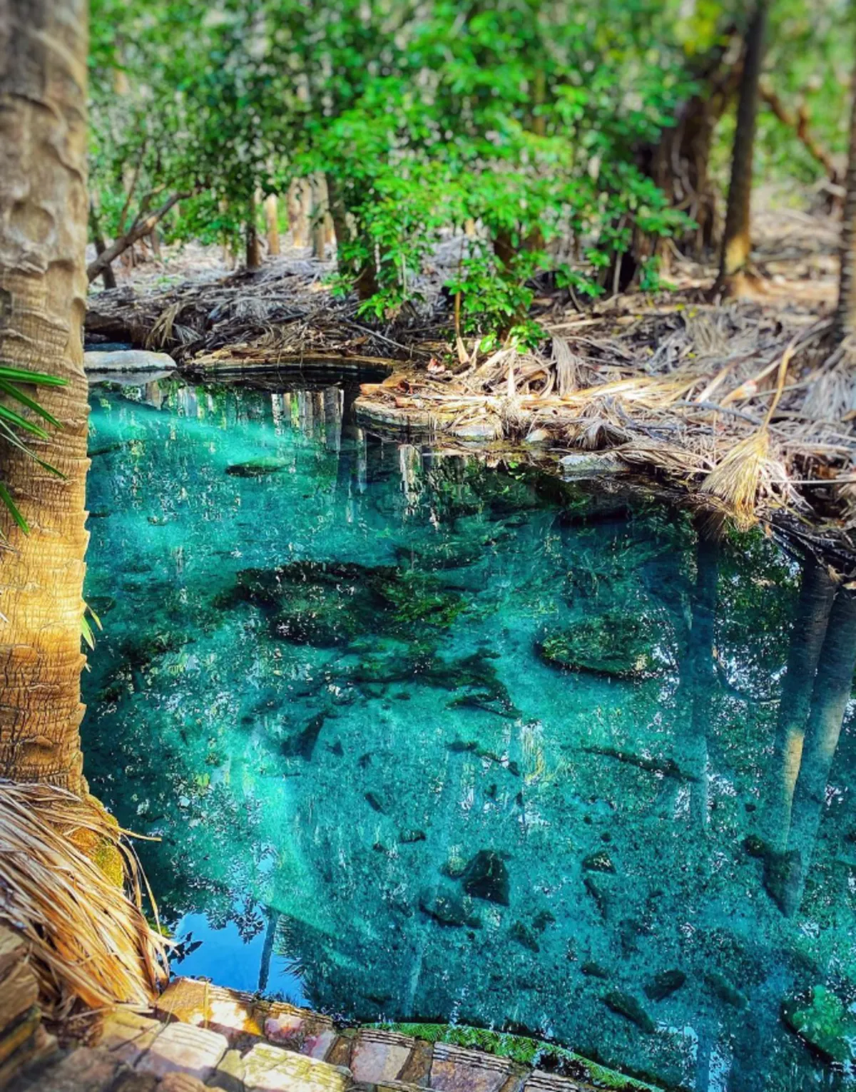 Nature and Conservation