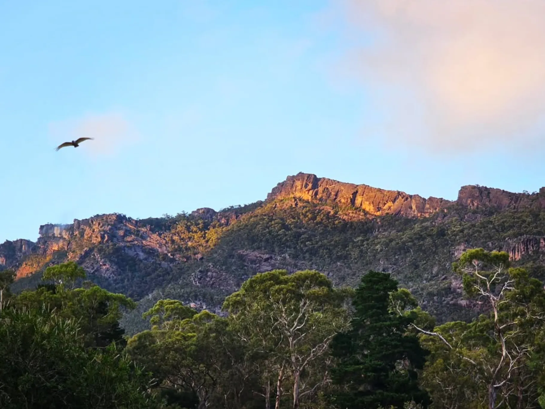 Nearby Attractions Grampians