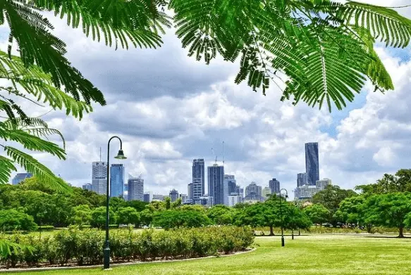 New Farm Park