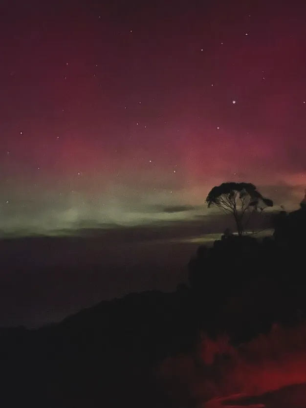 Night Skies