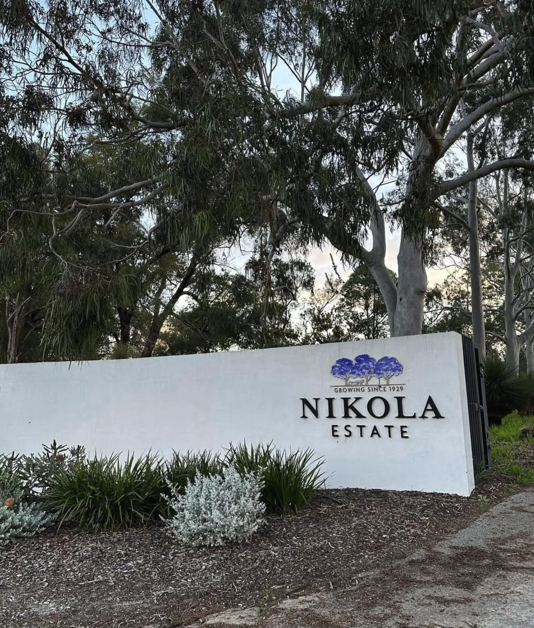 Nikola Estate wine tour