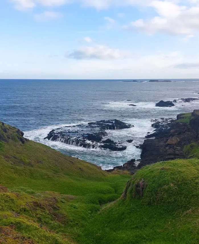 Phillip Island Nobbies Centre