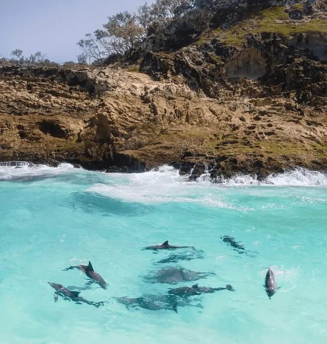 North Stradbroke Island